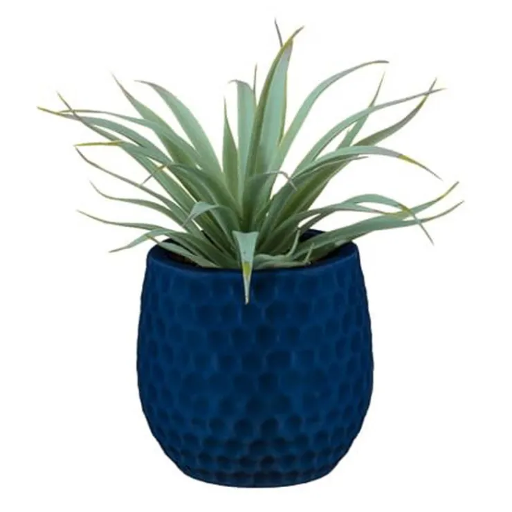 New FLOURISH Aloe pot colore