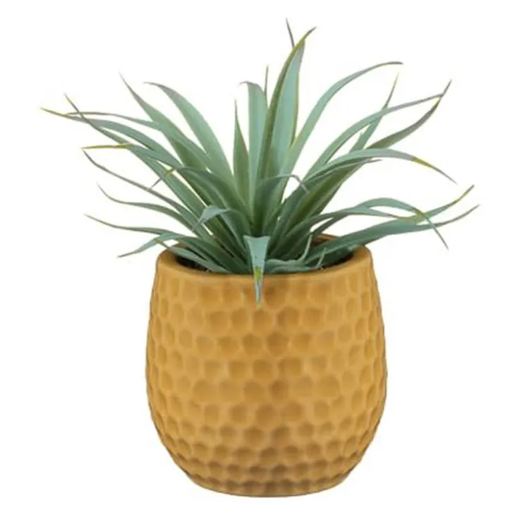 New FLOURISH Aloe pot colore