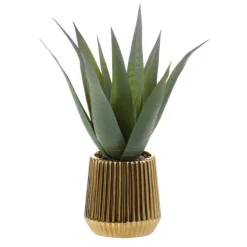 New TROPICAL PARADISE Aloe pot strie or