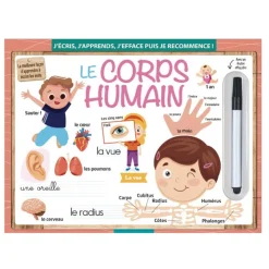 Online Ardoise magique : le corps humai