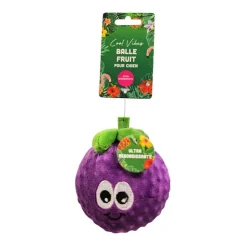 Sale COOL VIBES Balle fruit pour chien