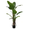 New TROPICAL PARADISE Bananier h150cm