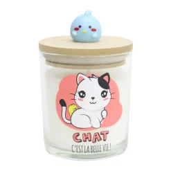 Bougie kawaii top bois