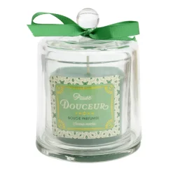 Best Bougie parfumee cloche d10xh11.5