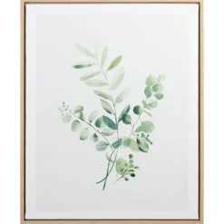 Cadre image eucalyptus