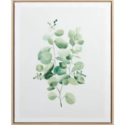 Cadre image eucalyptus