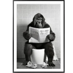 Sale Cadre image gorille