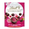 New LINDT Chocolat framboise & cranberry