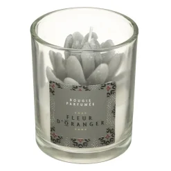 New Coffret cage lola wonderly