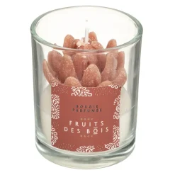 New Coffret cage lola wonderly