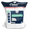 Hot COLAS NORMAND Couette 260x240 anti punaise ant