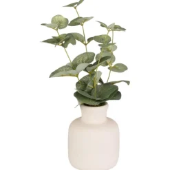 Clearance FLOURISH Eucalyptus dans vase