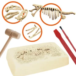 Best Explora paleontologue - stegosau