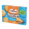 ST MICHEL Gateaux tronches de cake