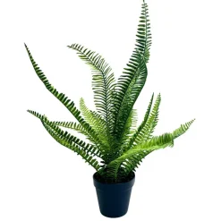 FLOURISH Grande fougere en pot