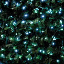 Discount Guirlande 60 led solaire blanc f