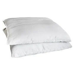 Hot SIMPLY Lot 2 oreillers 60x60cm