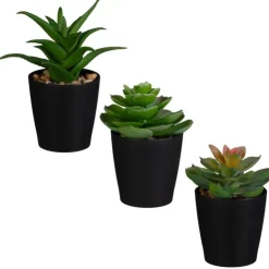Clearance FLOURISH Mini succulente dans pot noir