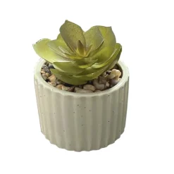 Discount FLOURISH Mini succulente pot strie