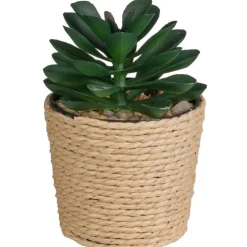 Discount FLOURISH Mini succulente pot tresse