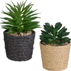 Discount FLOURISH Mini succulente pot tresse