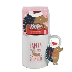 Mug et chocolat chaud