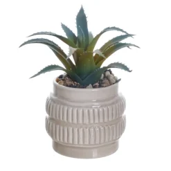 WARM HEAVEN Petite plante ceramique