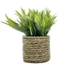 FLOURISH Plante artificielle pot jonc