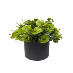 Online FLOURISH Plante en pot