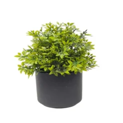 Online FLOURISH Plante en pot