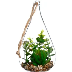 Clearance Plante goutte verre