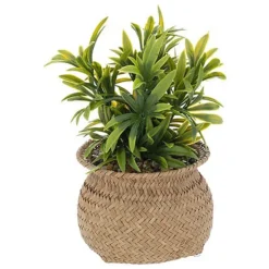 Hot Plante panier jiling