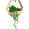 Clearance FLOURISH Plante suspendu hexagonale