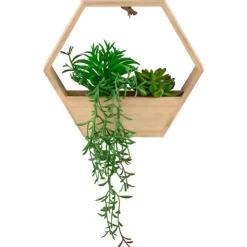 Clearance FLOURISH Plante suspendu hexagonale