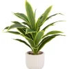FLOURISH Plante verte pot nervure
