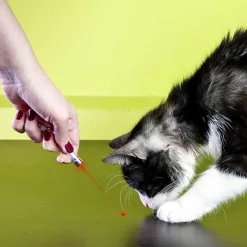 Discount Porte cles lampe torche + laser