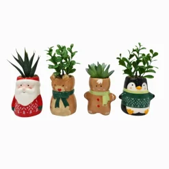 Clearance Pot de plante noel
