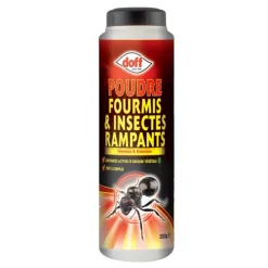 Outlet PORTLAND Poudre fourmis et insectes 300g