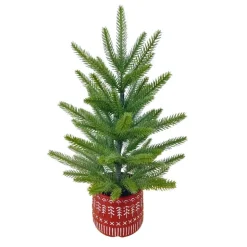 Discount Sapin en pot 45 cm