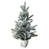 Discount Sapin en pot 66 cm