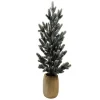 Best Sapin enneigne 58cm en pot en bo