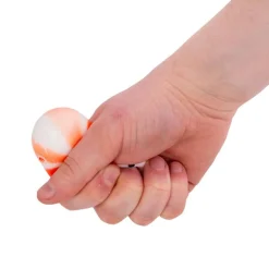 Online Scrunchems squishy sushi