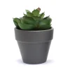Clearance FLOURISH Succulente artificielle en pot