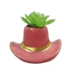 Best FLOURISH Succulente chapeau cowboy