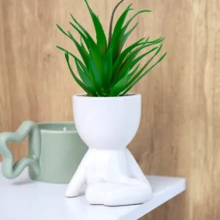 Best SIMPLY Succulente en pot