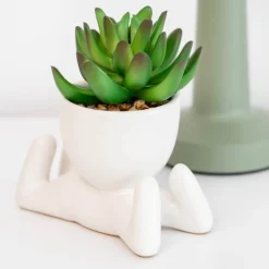Best SIMPLY Succulente en pot