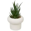 Sale Succulente pot beton
