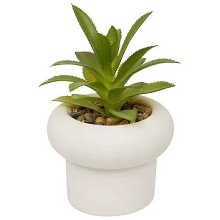 Sale Succulente pot beton