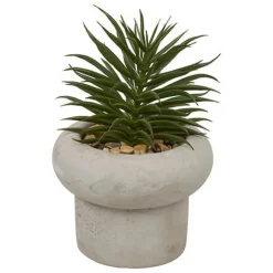 Sale Succulente pot beton
