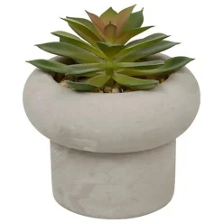 Sale Succulente pot beton
